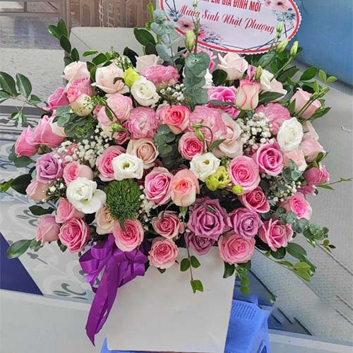 Hoatuoidep.vn Gò Vấp