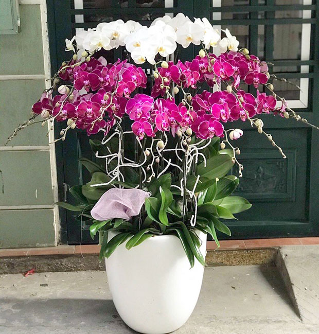 shop hoa tươi tại huyện hóc môn