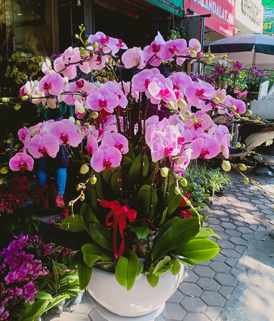 Tiệm hoa tươi Hóc Môn