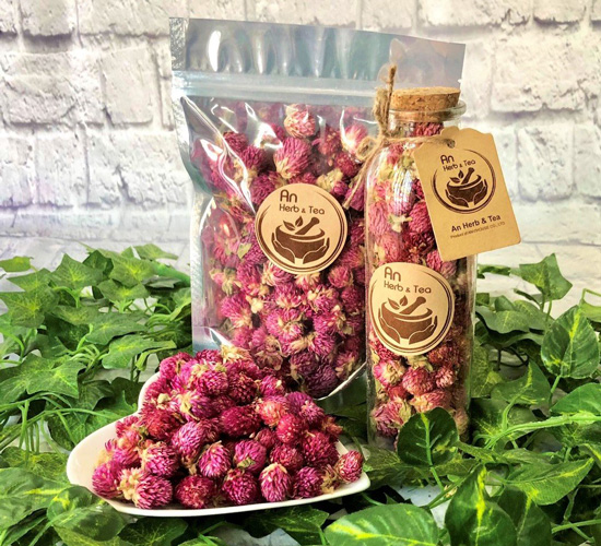 Công dụng hoa bách nhật hồng