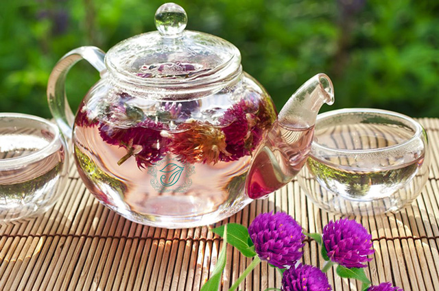 Hoa bách nhật hồng 3