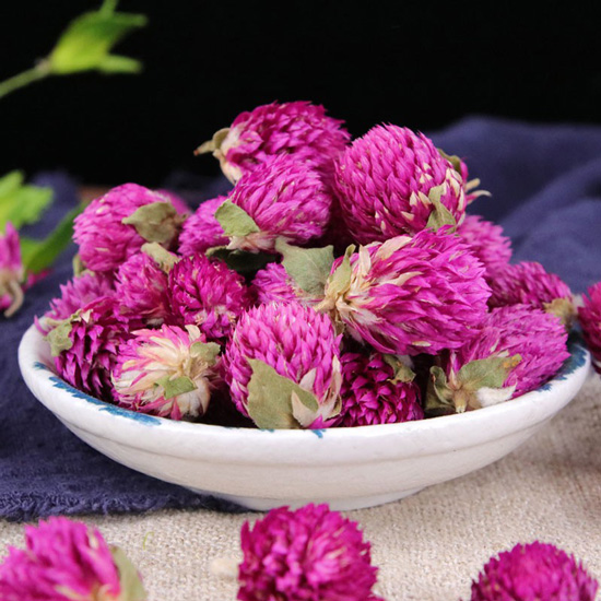 Hoa bách nhật hồng 6