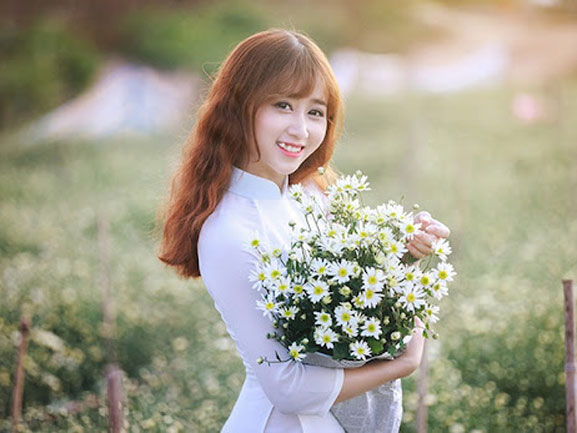 Ý nghĩa hoa cúc trắng