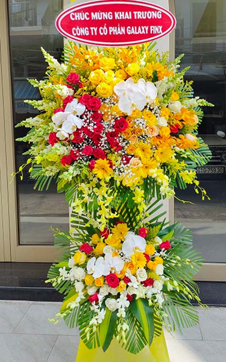 hoa khai trương hà nội