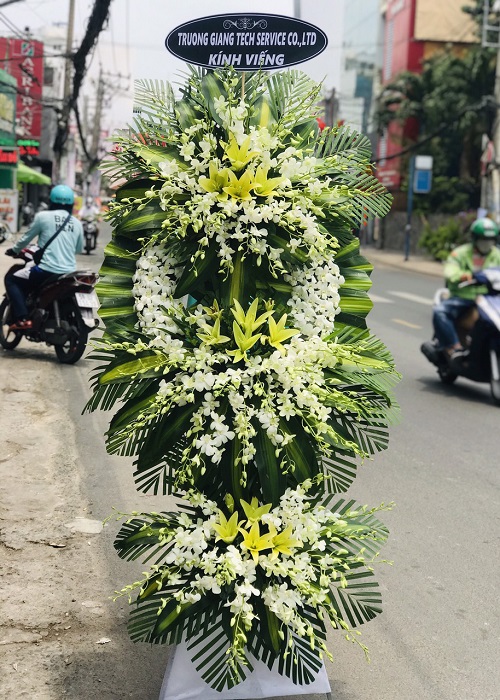 điện hoa phú xuyên hà nội