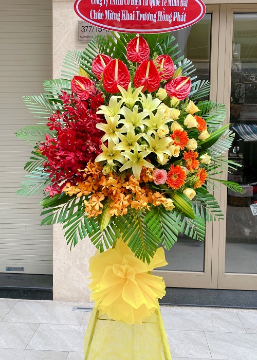 shop hoa sơn tây hà nội