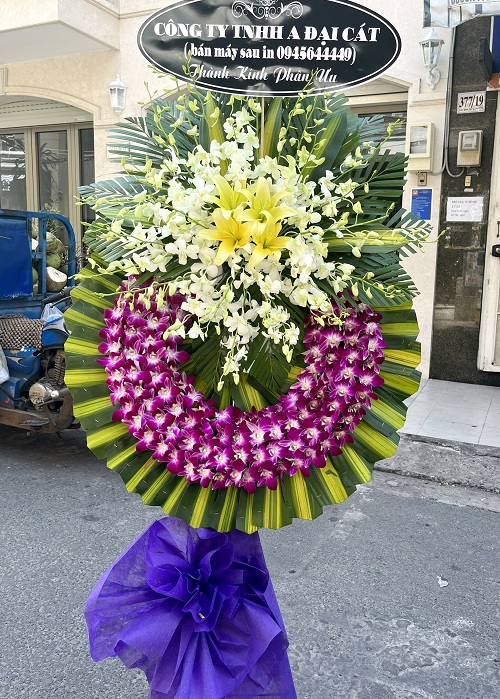 điện hoa đức thọ hà tĩnh