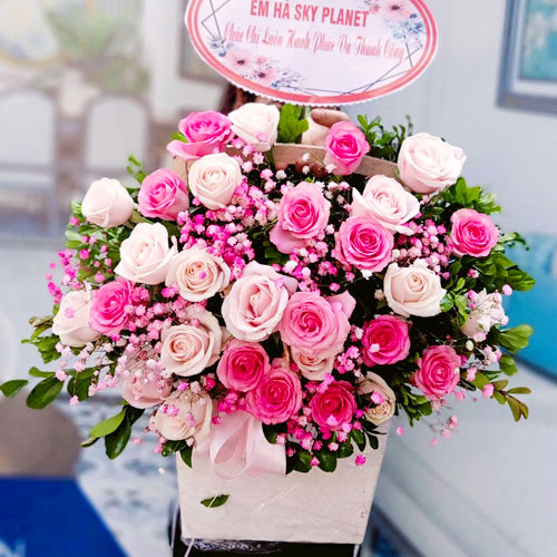 shop hoa bình giang hải dương