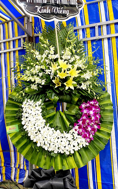 điện hoa cẩm giàng hải dương