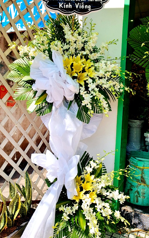 điện hoa chí linh hải dương