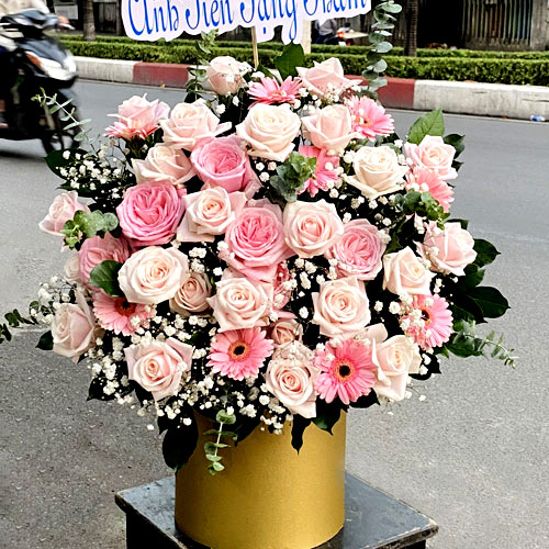 shop hoa chí linh hải dương