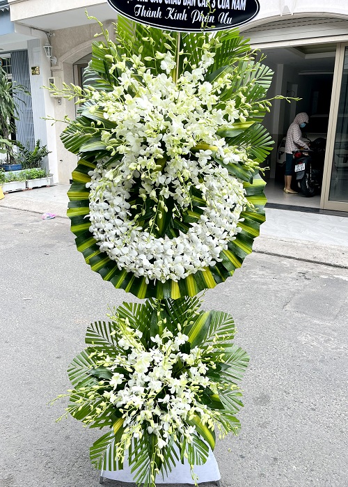 điện hoa thanh miện hải dương