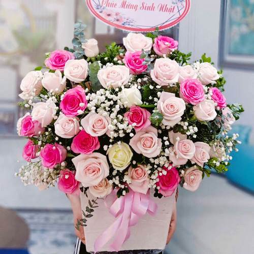 shop hoa tứ kỳ hải dương