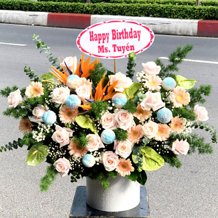 shop hoa ngã bảy hậu giang