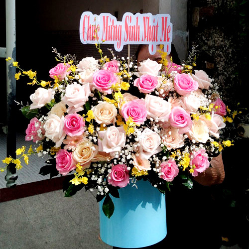 shop hoa phụng hiệp hậu giang