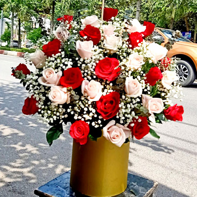 shop hoa kỳ sơn hòa bình