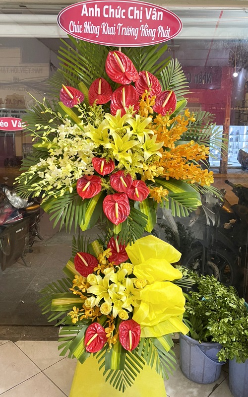 shop hoa lạc sơn hòa bình