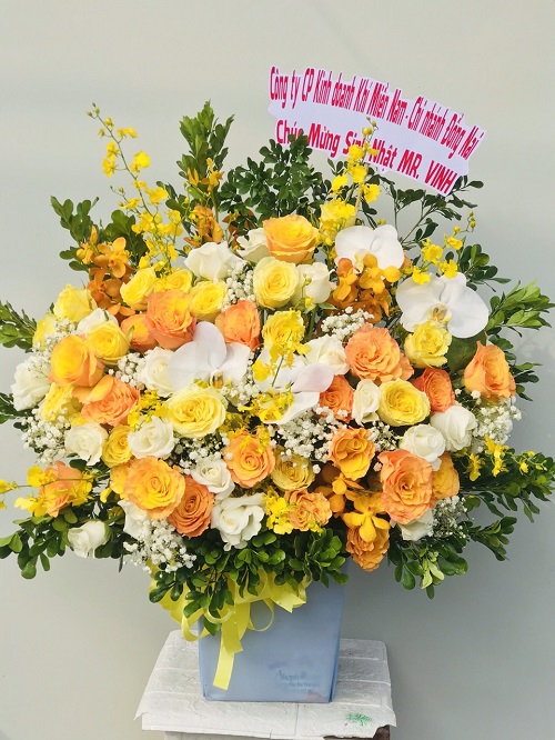 shop hoa mai châu hòa bình