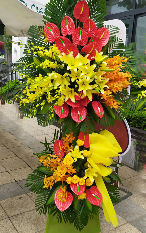 hoa tươi tân lạc hòa bình