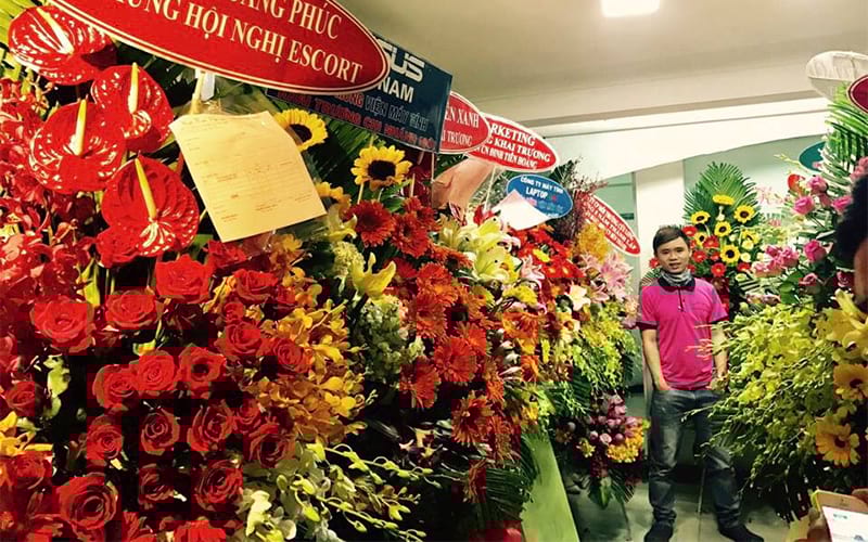 hoa khai trương đỏ