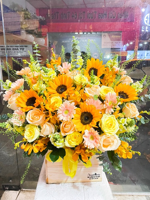 Shop hoa cam lâm khánh hòa