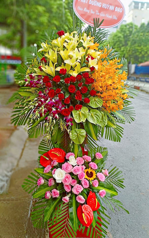hoa tươi cam ranh khánh hòa