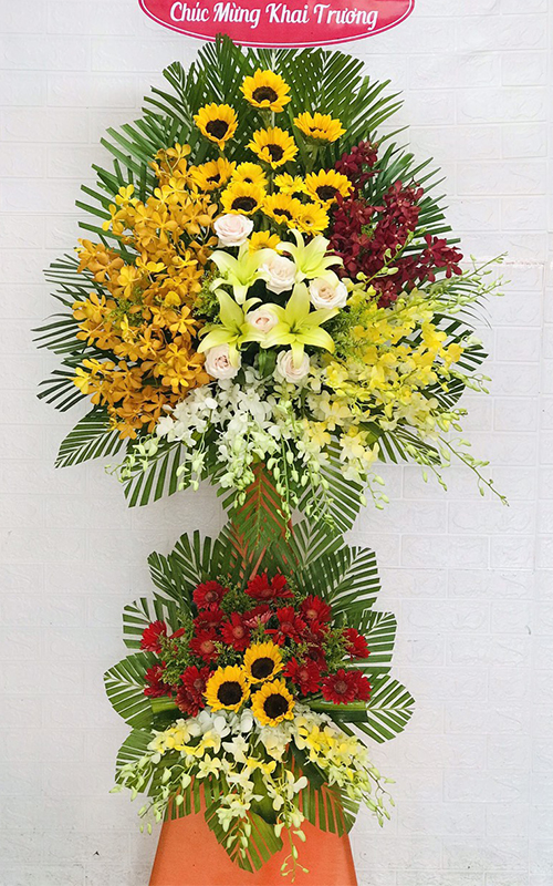 Hoa tươi vạn ninh khánh hòa