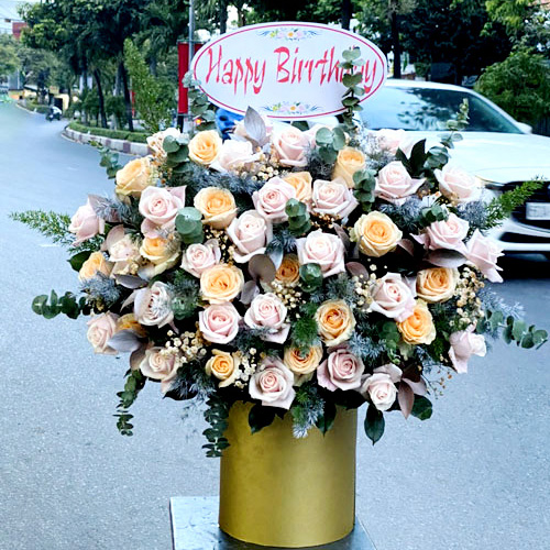 Shop hoa vạn ninh khánh hòa