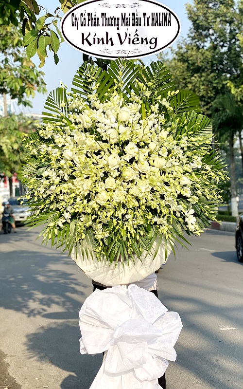 tiệm hoa tươi vạn ninh khánh hòa