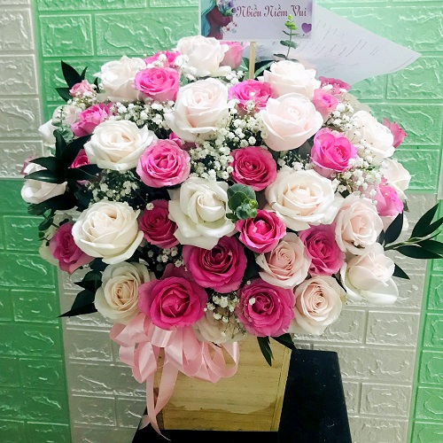 Shop hoa an biên kiên giang