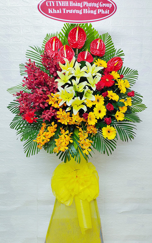 hoa tươi gò quao kiên giang