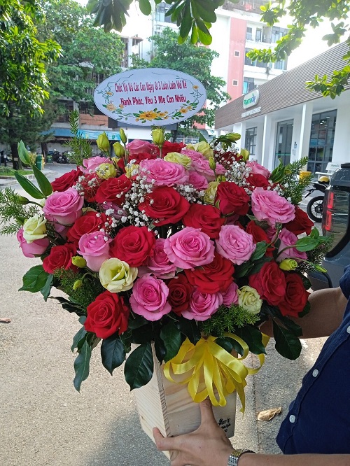 shop hoa hà tiên kiên giang