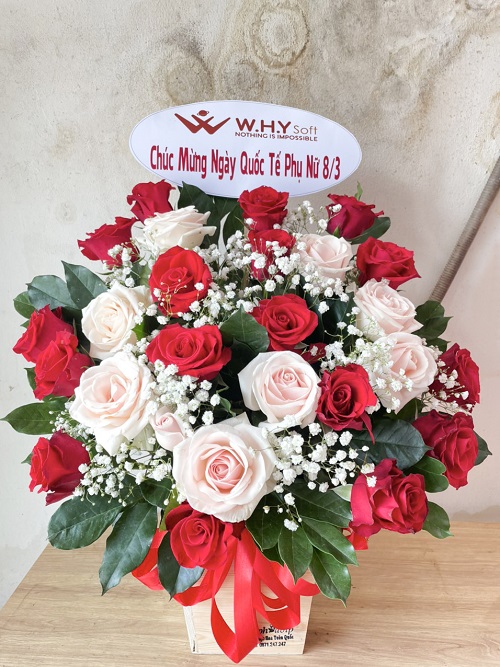 Shop hoa hòn đất kiên giang