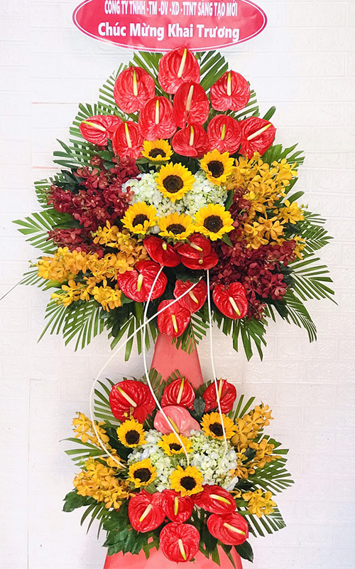 Hoa tươi kiên hải kiên giang