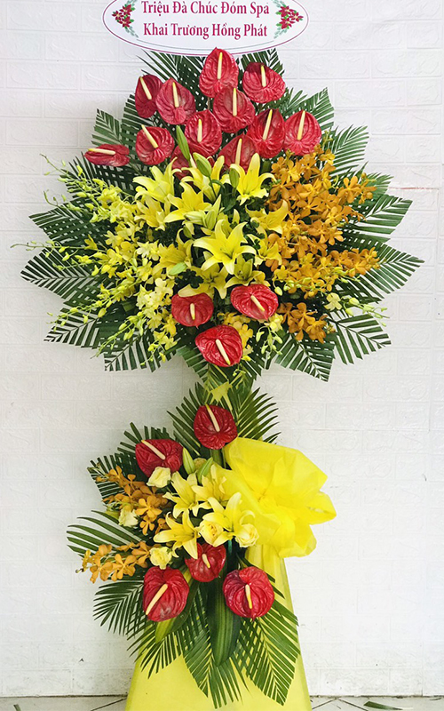 hoa tươi vĩnh thuận kiên giang