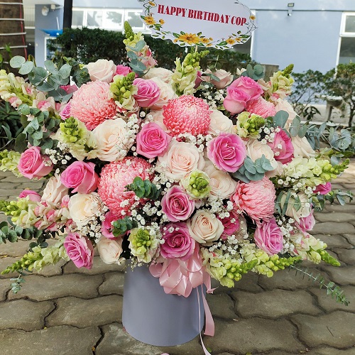 shop hoa phong thổ lai châu