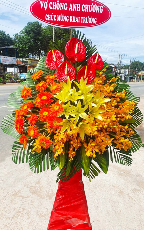 hoa tươi bình gia lạng sơn