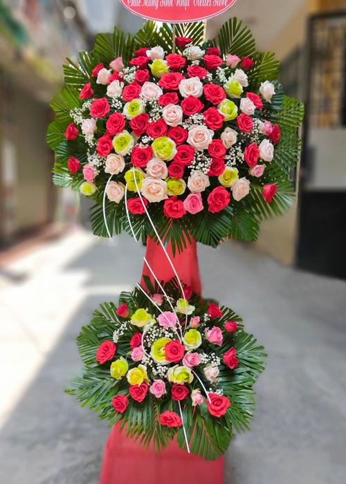 hoa tươi bắc hà lào cai