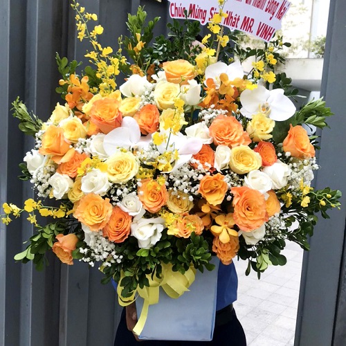 Shop hoa đức hòa long an