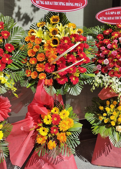 hoa tươi đức huệ long an