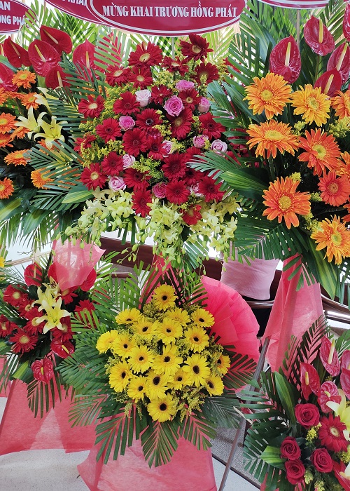 hoa khai trương kiến tường long an