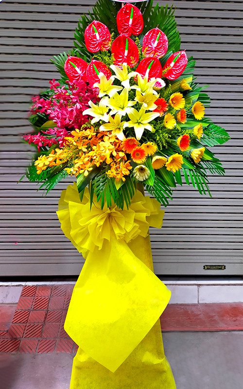 hoa tươi tân hưng long an