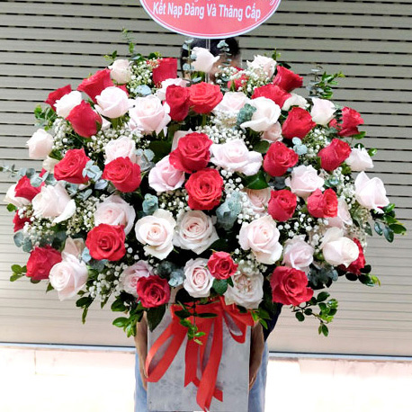Shop hoa tân hưng long an