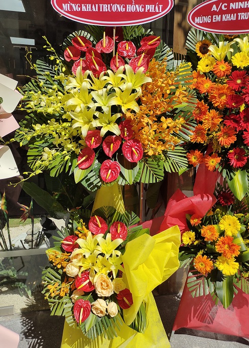 hoa tươi giao thủy nam định