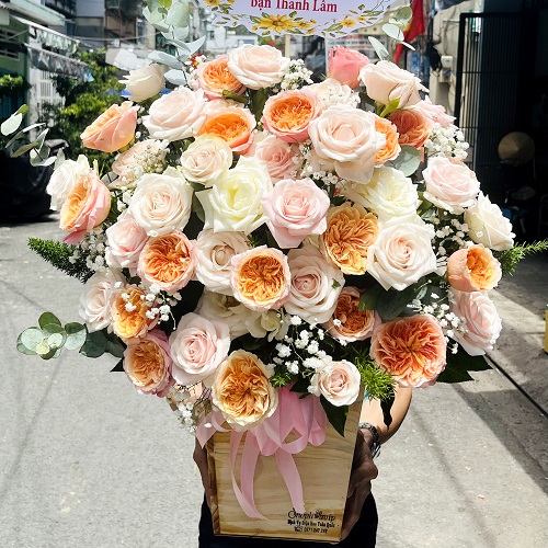 Shop hoa đô lương nghệ an