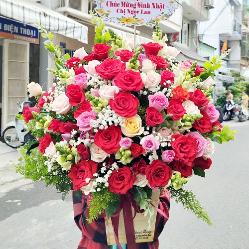 Shop hoa quế phong nghệ an