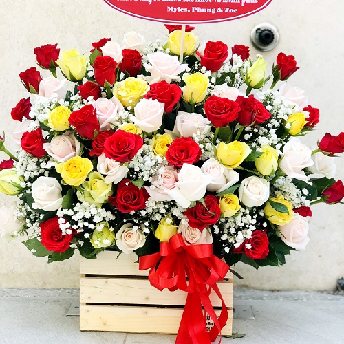 shop hoa nho quan ninh bình