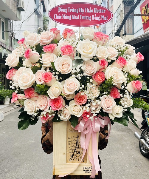 Shop hoa tam điệp ninh bình 