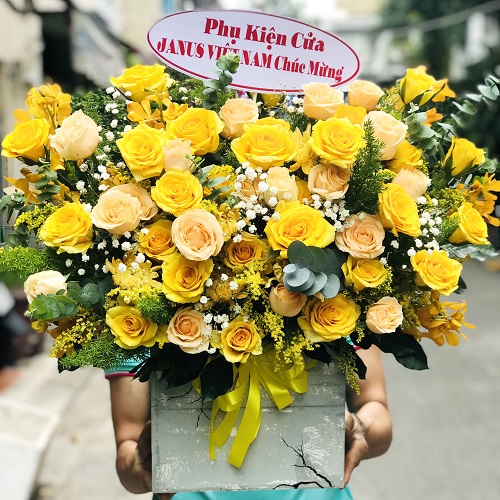 Shop hoa thuận nam ninh thuận