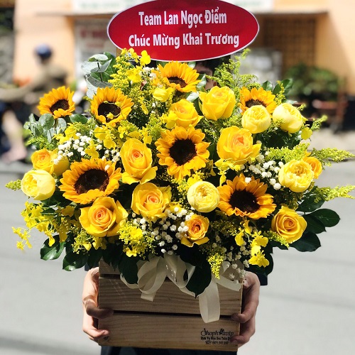 Shop hoa yên lập phú thọ